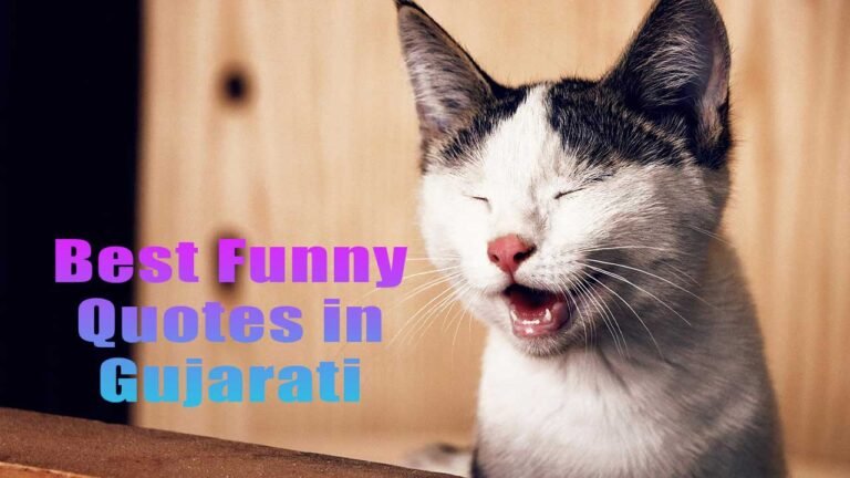 best funny quotes in gujarati